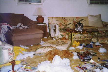 Boxer Rescue of Virginia - photo of destruction to home caused by untrained boxers